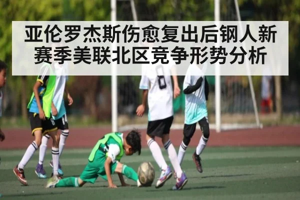 亚伦罗杰斯伤愈复出后钢人新赛季美联北区竞争形势分析